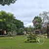 Plaza Central at Calle Simon Bolivar and Calle Monsenor Santiesteban (2)