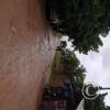 Calle Bolivar (2)