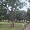 Plaza Principal (3)
