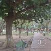 Plaza Principal (4)