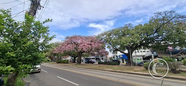 Av Uruguay from Av Trinidad