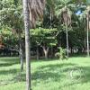 Parque Urbano at Calle Capitan Arrien and Av Argentina (3)