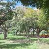Parque Urbano at Calle Capitan Arrien and Av Argentina (5)