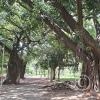 Parque Urbano at Calle Capitan Arrien and Av Argentina (7)