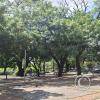 Parque Urbano at Calle Capitan Arrien and Av Argentina (8)