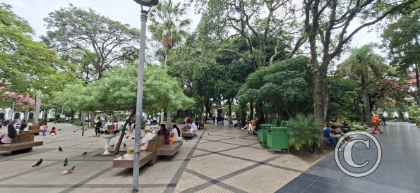 Plaza Metropolitana (2)