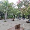 Plaza Metropolitana (3)
