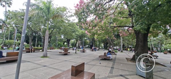 Plaza Metropolitana (3)