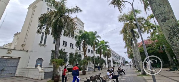 Plaza Metropolitana (5)
