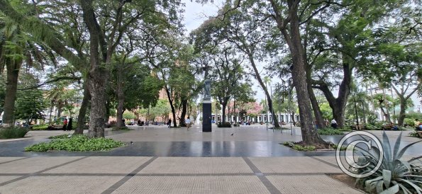 Plaza Metropolitana (6)