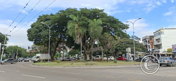 Turning circle park