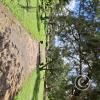 Parque Principal (3)