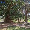 Parque Principal