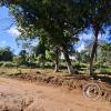 Unnamed Road (10)