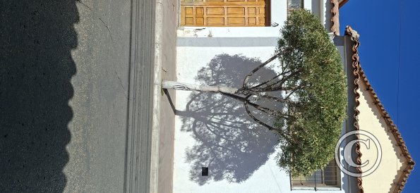 Calle Eduardo Avaroa (3)