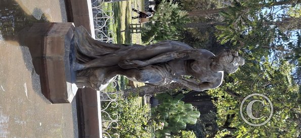 Parque Libertador Simon Bolivar (4)