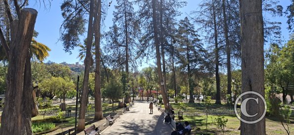Parque Libertador Simon Bolivar