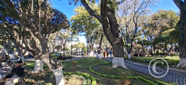 Plaza de Armas 25 de Mayo (8)
