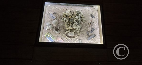 Templo de San Francisco de Asís (18)
