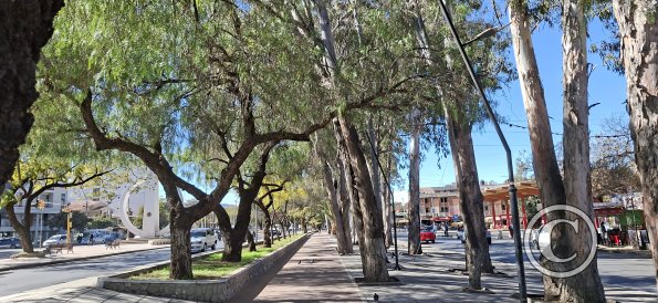 Av Las Americas (7)