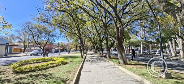 Av Las Americas (9)