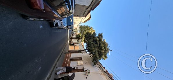 Calle Colon