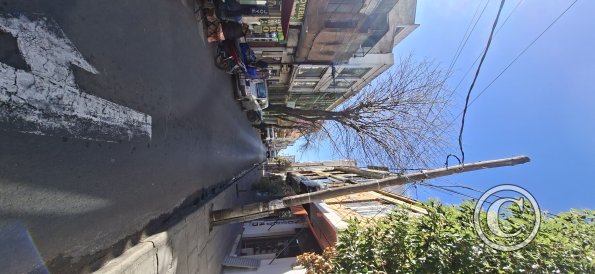 Calle Daniel Campos