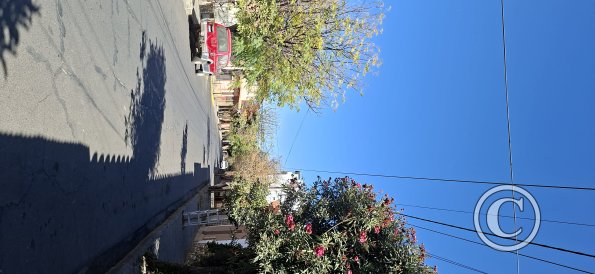 Calle Delgadillo
