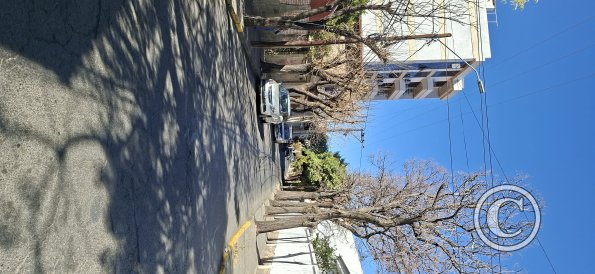 Calle Virginia Lema