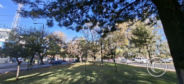 Jardinera Las Americas (2)