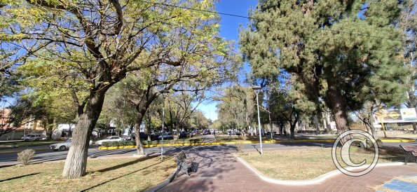 Jardinera Las Americas (4)