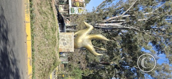 Jardinera Las Americas (6)