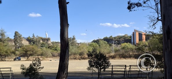 Jardinera Las Americas (7)