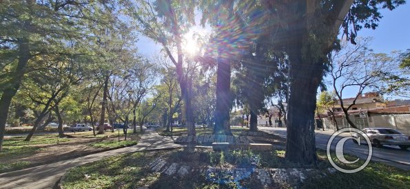 Jardinera Las Americas