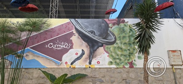 Mural on Pasaje Baldiviezo (3)