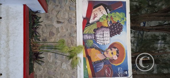 Mural on Pasaje Baldiviezo (7)