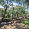 Plaza Central at Calle Bolivar and Calle Romulo Heredia (2)