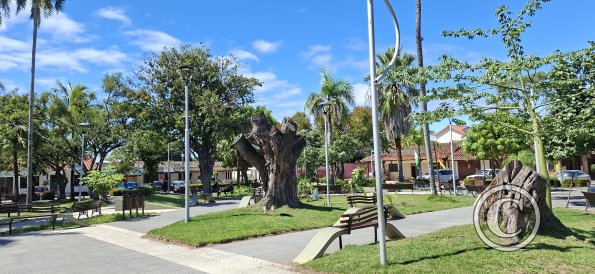 Plaza Central at Calle Bolivar and Calle Romulo Heredia (6)