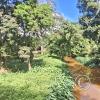 Apparently this is the Yapacani River