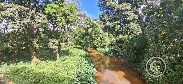 Apparently this is the Yapacani River