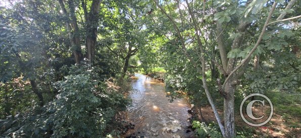 Yapacani River