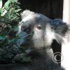 img_1706_17036975673_o