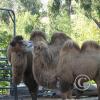 img_1712_17034847524_o