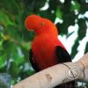 img_1873_17632682366_o