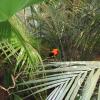 img_1874_17656590902_o