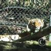 picture-047_17264411973_o