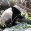 picture-063_17885386811_o