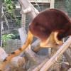 picture-082_17037010313_o