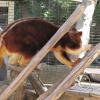 picture-083_17654911372_o
