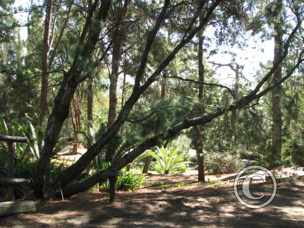 picture-264_17632900946_o